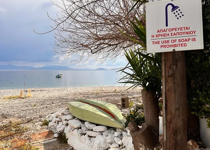 Luxury House 2 Appartamento